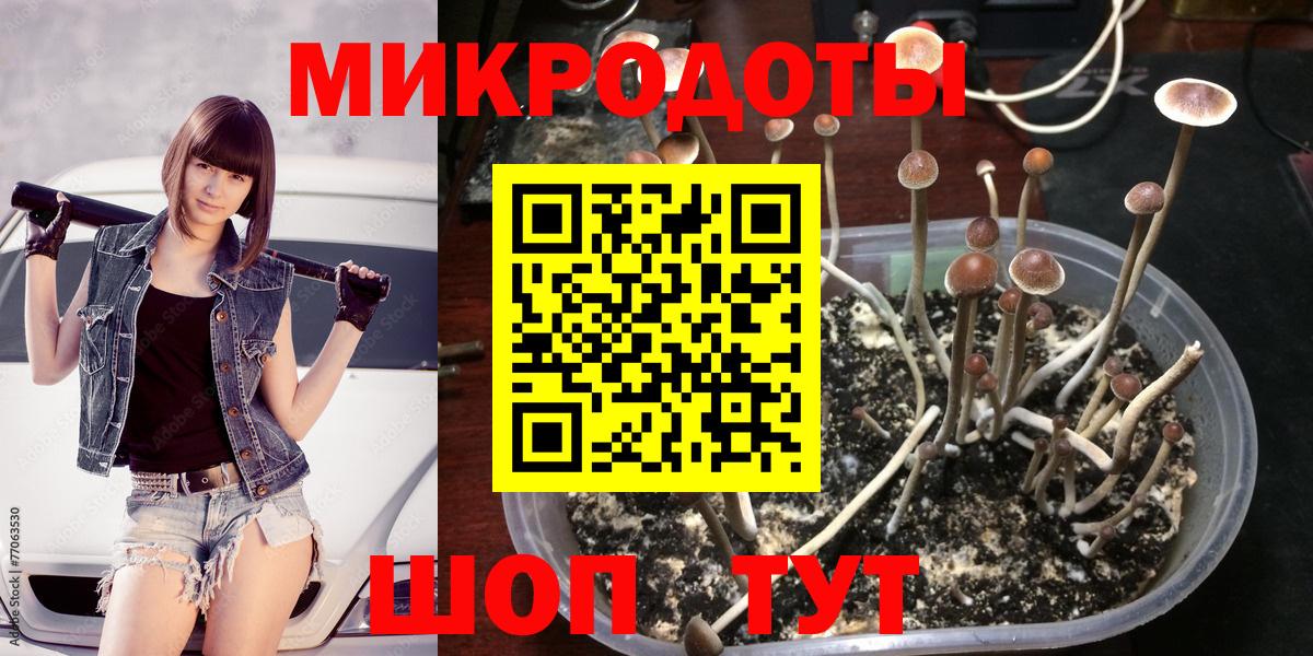 Псилоцибиновые грибы GOLDEN TEACHER Губаха