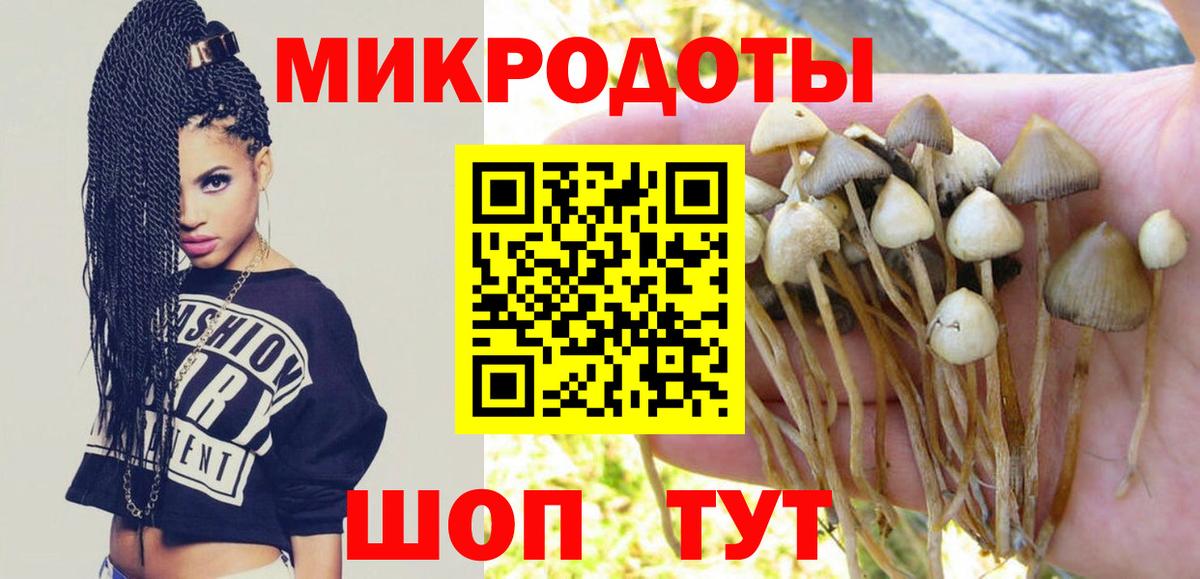 Галлюциногенные грибы Psilocybine cubensis  Галлюциногенные грибы Magic Shrooms  Вход с VPN  Губаха 